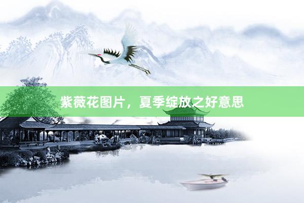 紫薇花图片，夏季绽放之好意思