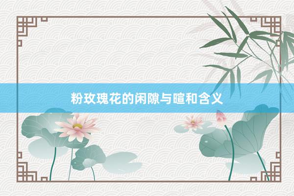 粉玫瑰花的闲隙与暄和含义