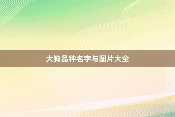 大狗品种名字与图片大全