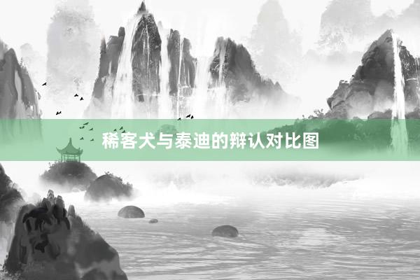 稀客犬与泰迪的辩认对比图